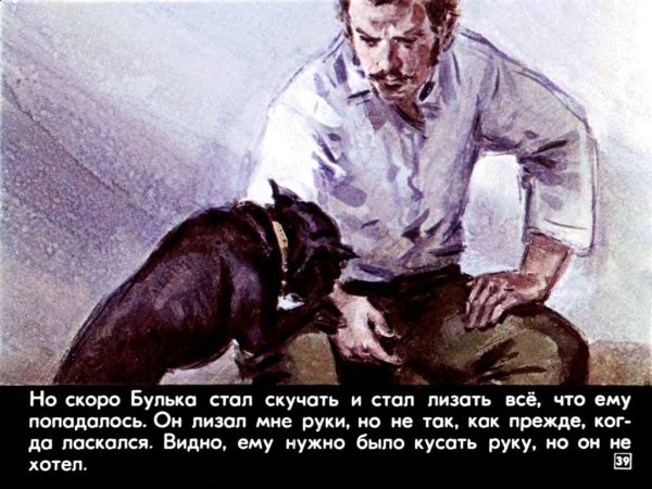 Лев Николаевич толстой Булька