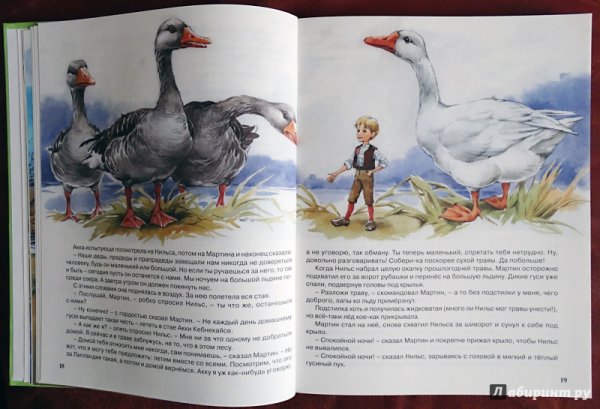 • Чтение Сельма лагерлёф «приключения Нильса с дикими гусями»