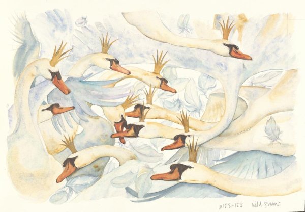 Юн Чжан Дикие лебеди иллюстрации
