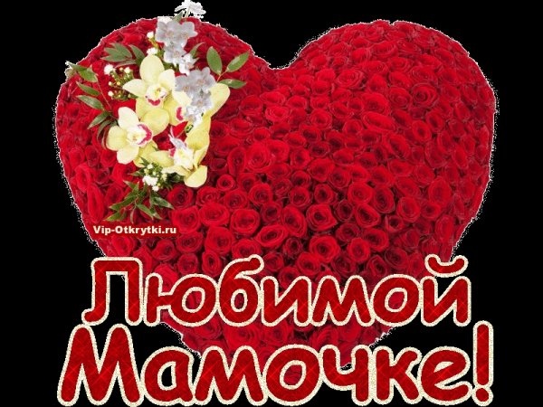 Мамочка я тебя люблю