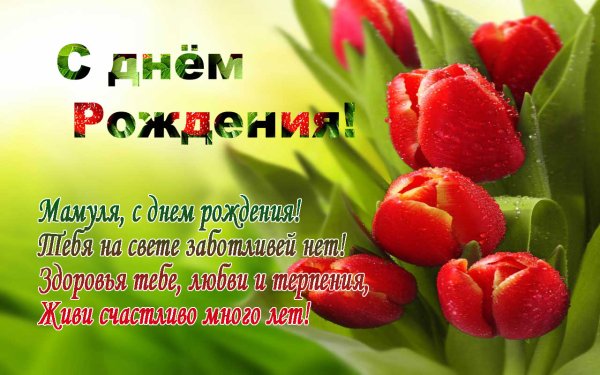 Поздравления с днём рождения Миаме
