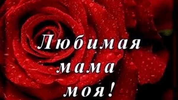 Моя любимая мама