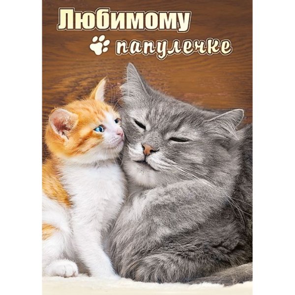 Доброе утро папочка