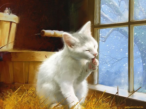 Котенок у окна