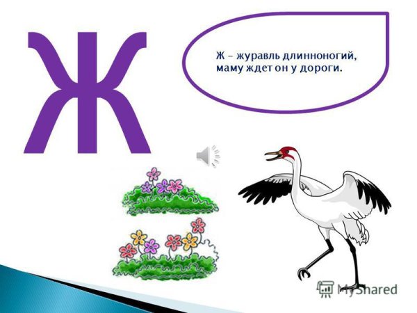 Журавлик Длинноногий ждет маму у дороги