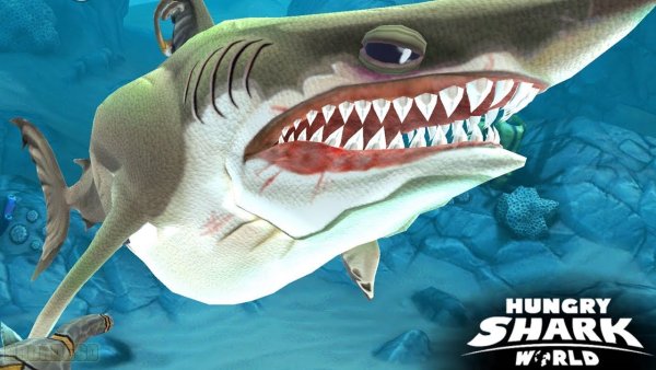 Hungry Shark Evolution МЕГАЛОДОН