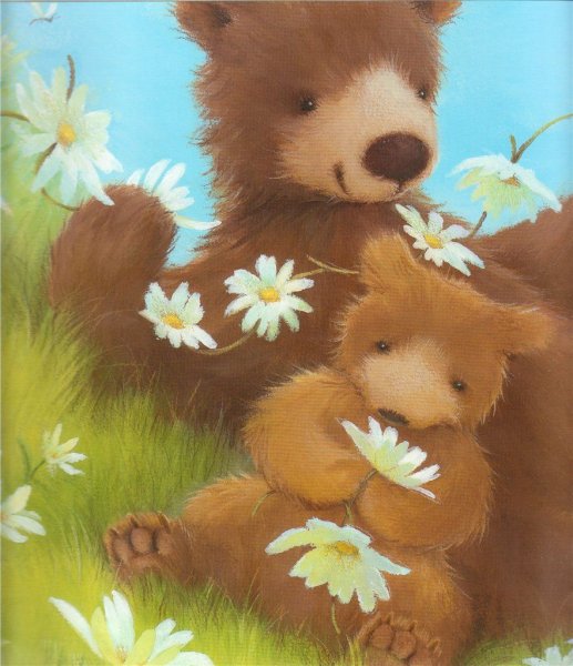 Alison Edgson illustrations
