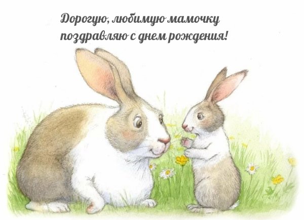 Маленький Зайчонок улыбнулся маме