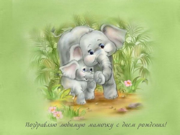 Открытка Слоненок