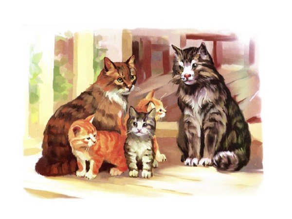 Кошка и котенок для детей