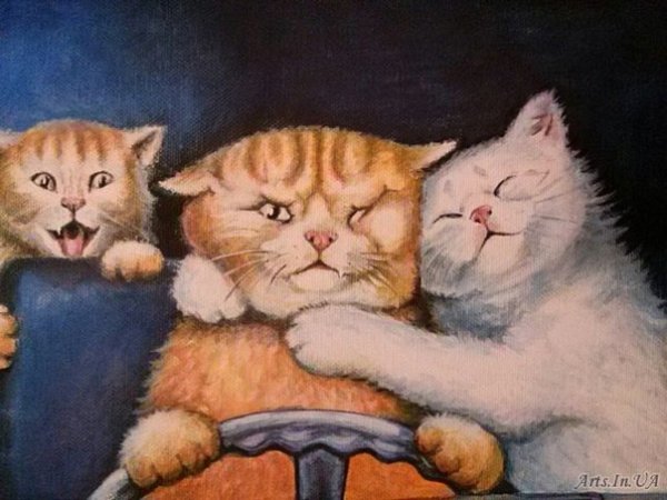 Семья котов