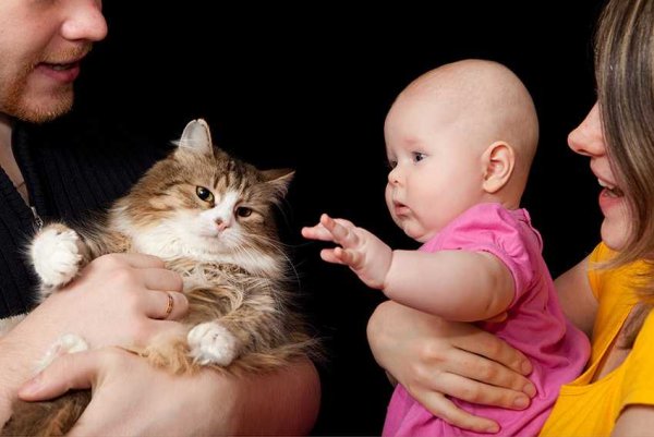 Семья с котом