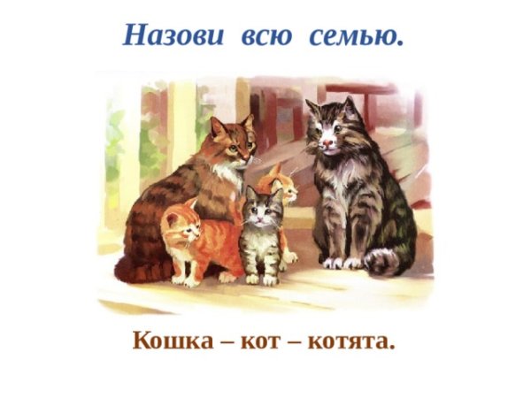 Кошка в семье с детьми