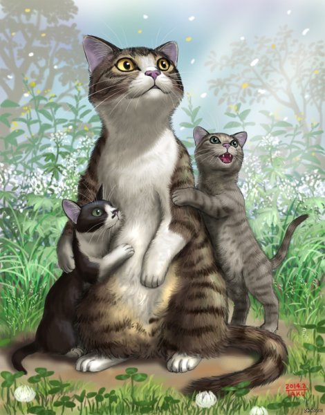 Семья котов