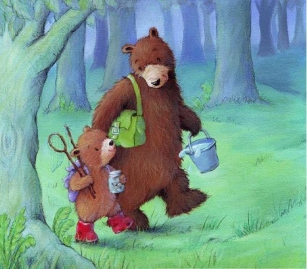 Попа медвежонка