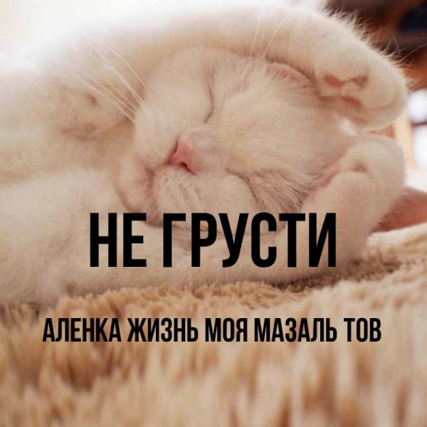 Моя кисуля картинки