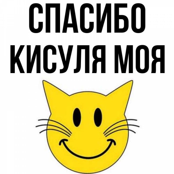 Спасибо кисуля