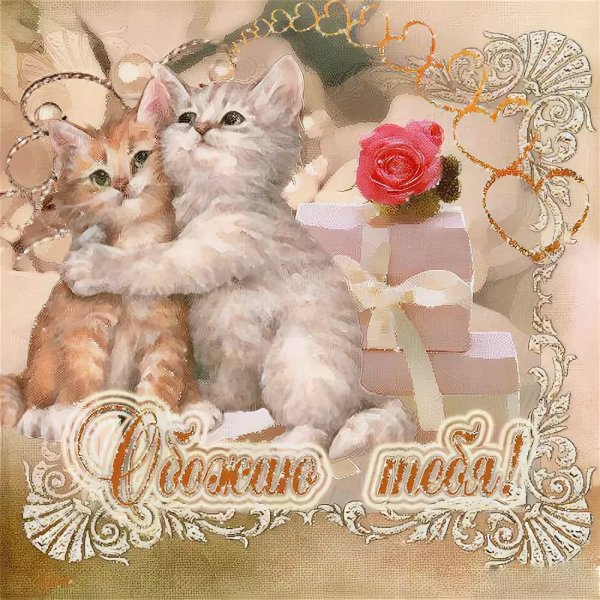 Открытки с котиками любимому
