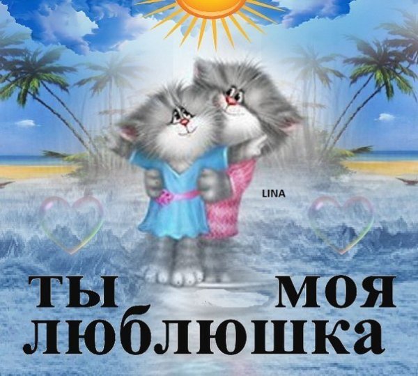 Люблю тебя кисуля