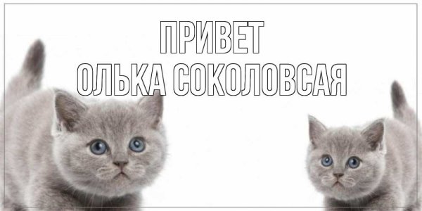 Привет Сережа