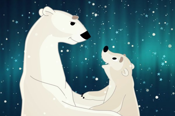 Умка мультфильм Медведица
