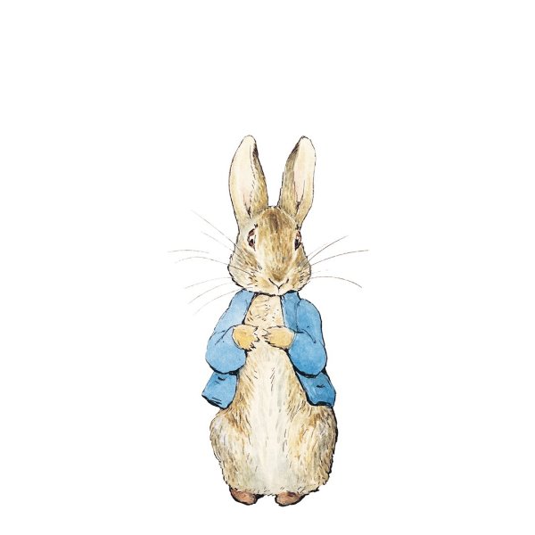 Peter Rabbit комбинезон