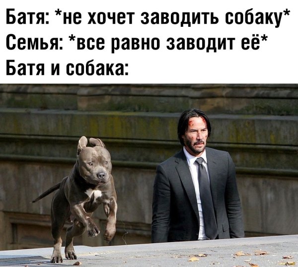 Джон уик батя и собака