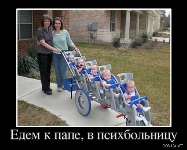 Приколы про многодетную семью