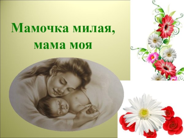 Асока милая