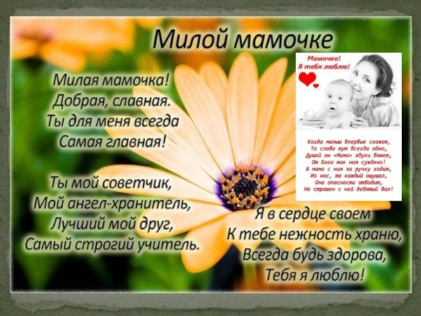 Самые милые стихи для мамы