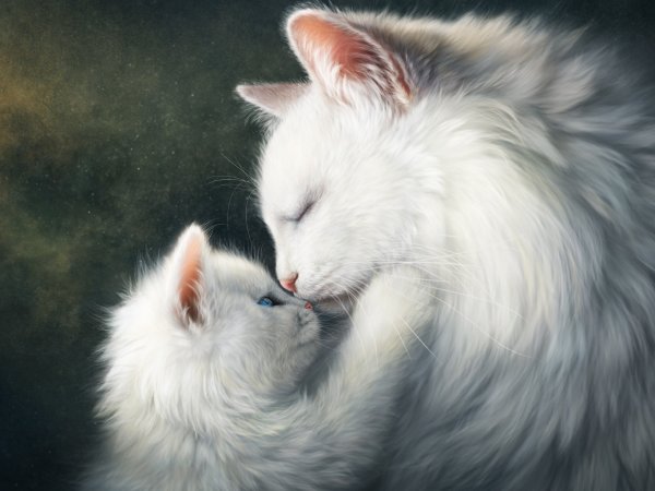 Кошка с котятами
