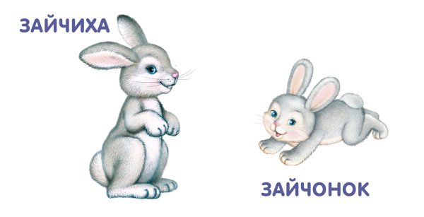 Карточки для детей Зайчонок