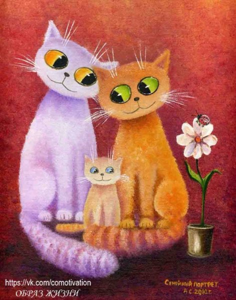 Семья котов