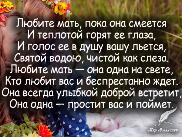 Высказывания о матери