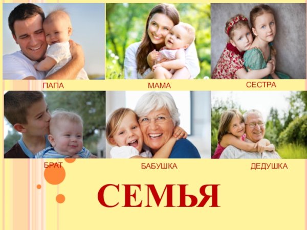 Мама папа брат сестра