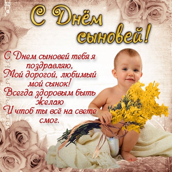 С днём сыеовей поздравления