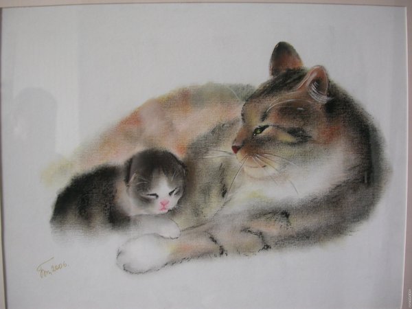 Кошка пастелью