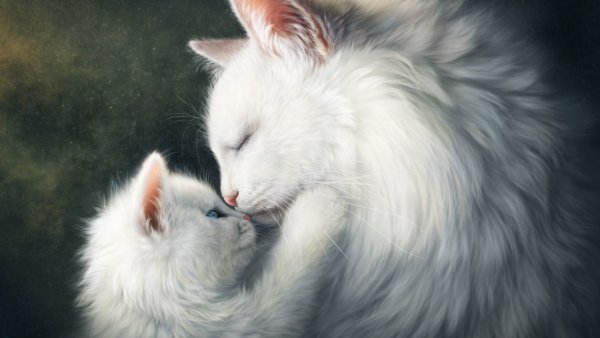 Белая кошка с котятами