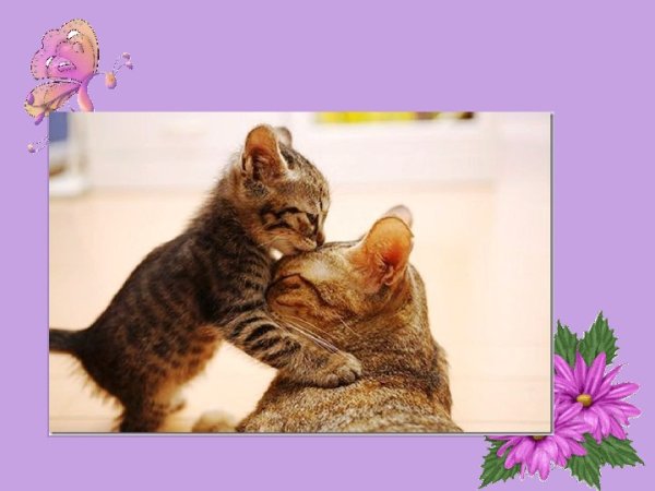 С днем мамы котята
