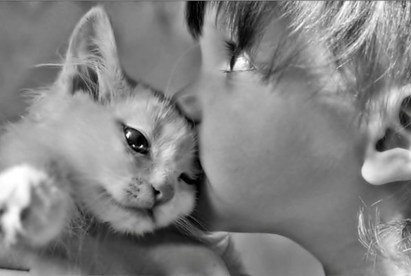 Девушка целует кота