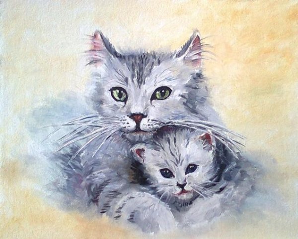 Серый котенок с мамой