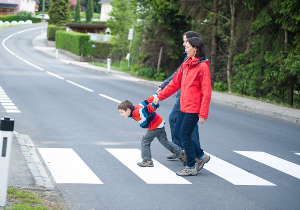 Родители и дети на дороге