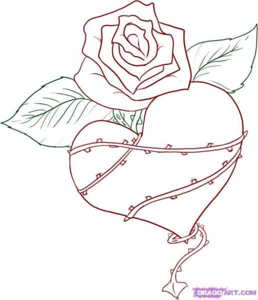 Лёгкий рисунок розы для срисовки