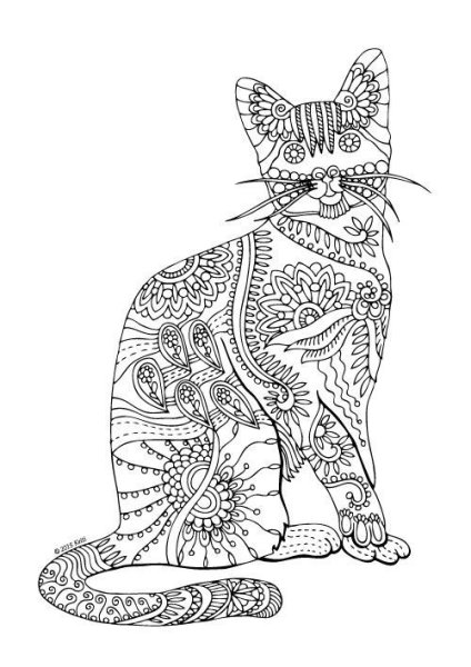 Кот антистресс раскраска для начинающих