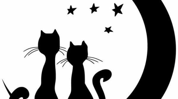 Трафарет кошки на окно