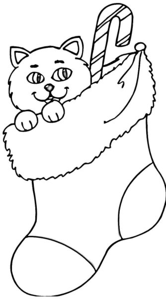 Раскраска новогодний котик