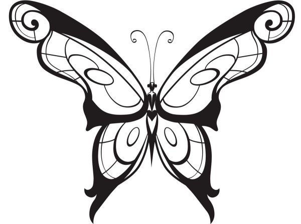 Трафареты узоры на крыльях бабочки (46 фото)