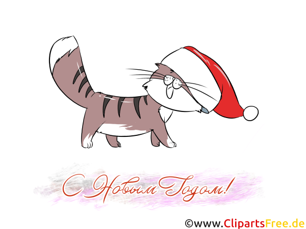 Новогодний кот