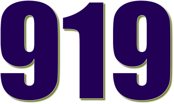 Цифра 19