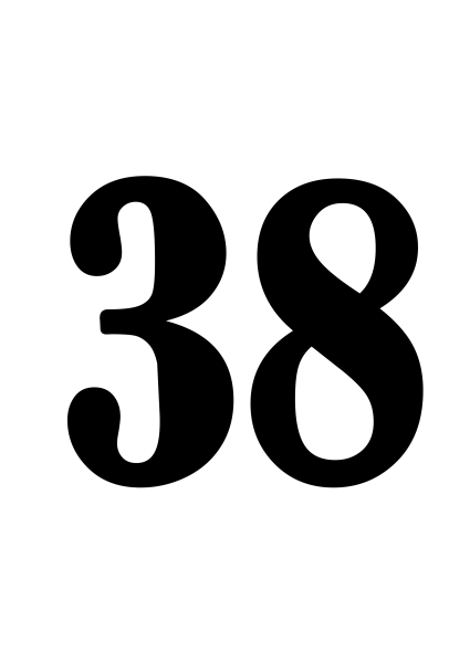 Цифра 38